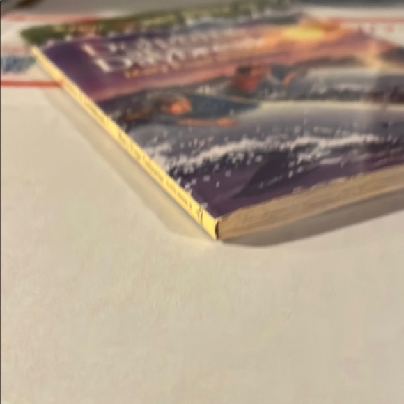 Dolphins at Daybreak Book - Picture 4 of 7